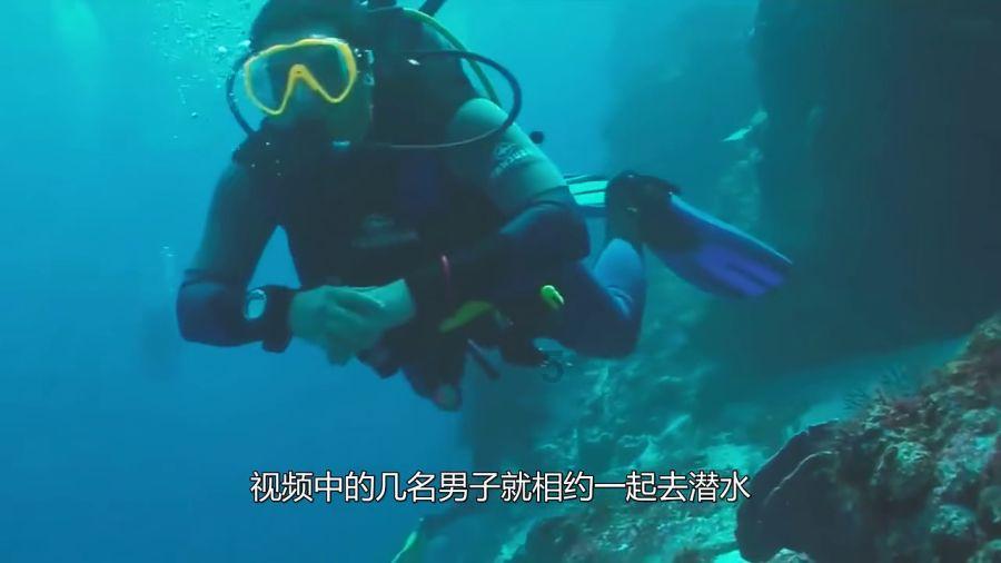 召唤神龙万宁版祖龙