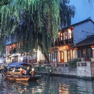 动物帮帮忙保卫家园